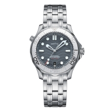 MATIC WATCH DIVER 200M 41mm PT5000 Mechanical Wristwatches [Gray Dial with Silver Ceramic Bezel Insert]
